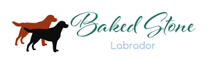 BakedStone